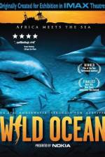Watch Wild Ocean Niter