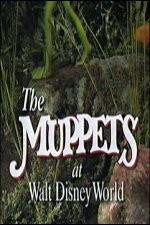 Watch The Muppets at Walt Disney World Niter