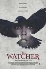 Watch The Ravens Watch Niter