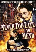 Watch It\'s Never Too Late to Mend Niter
