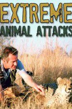 Watch Extreme Animal Attacks Niter