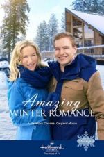 Watch Amazing Winter Romance Niter