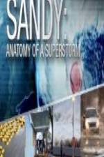 Watch Sandy Anatomy Of A Superstorm Niter
