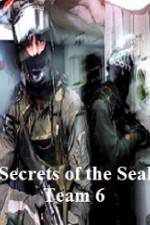 Watch Discovery Channel Secrets of Seal Team 6 Niter
