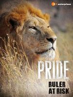 Watch Pride - Ruler\'s at Risk Niter