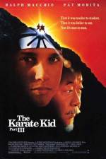 Watch The Karate Kid, Part III Niter