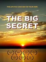 Watch The Big Secret Niter