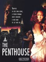 Watch The Penthouse Niter