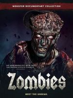 Watch Zombies Niter