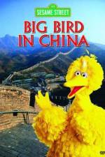 Watch Big Bird in China Niter