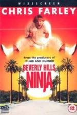 Watch Beverly Hills Ninja Niter