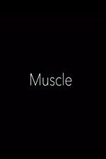 Watch Muscle Niter