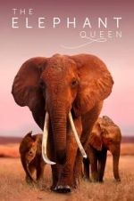 Watch The Elephant Queen Niter