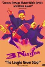 Watch 3 Ninjas Niter