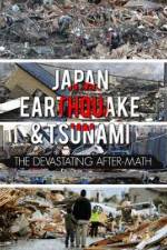 Watch Japan Aftermath of a Disaster Niter