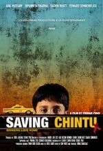 Watch Saving Chintu Niter