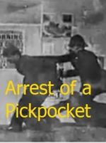Watch The Arrest of a Pickpocket Niter