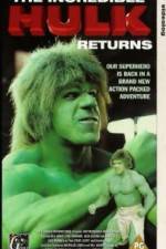 Watch The Incredible Hulk Returns Niter