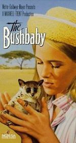 Watch The Bushbaby Niter