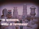 Watch The Wonderful World of Tupperware (Short 1965) Niter