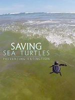 Watch Saving Sea Turtles: Preventing Extinction Niter