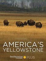 Watch America\'s Yellowstone Niter