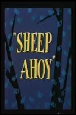 Watch Sheep Ahoy Niter