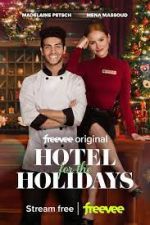 Watch Hotel for the Holidays Niter