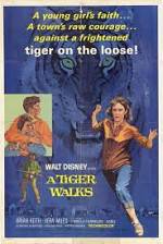 Watch A Tiger Walks Niter