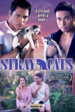 Watch Stray Cats Niter