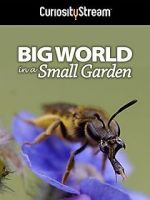 Watch Big World in a Small Garden (TV Short 2016) Niter