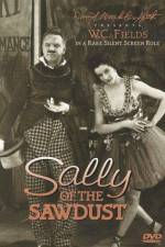 Watch Sally of the Sawdust Niter