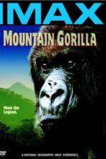 Watch Mountain Gorilla Niter