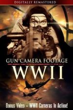 Watch Gun Camera Footage WWII Niter