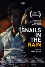 Watch Snails in the Rain Niter