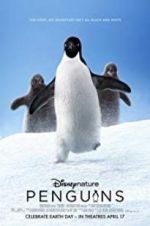 Watch Penguins Niter