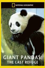 Watch National Geographic Giant Pandas The Last Refuge Niter