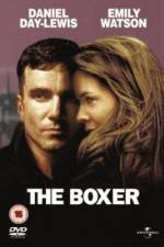 Watch The Boxer Niter