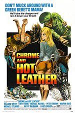 Watch Chrome and Hot Leather Niter