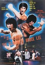 Watch The Clones of Bruce Lee Niter
