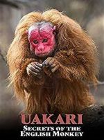 Watch Uakari: Secrets of the English Monkey Niter