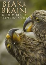 Watch Beak & Brain - Genius Birds from Down Under Niter