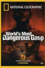 Watch National Geographic World's Most Dangerous Gang Niter