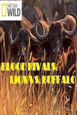 Watch National Geographic - Blood Rivals: Lion vs. Buffalo Niter