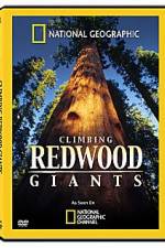 Watch National Geographic Explorer: Climbing Redwood Giants Niter