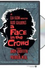 Watch A Face in the Crowd Niter