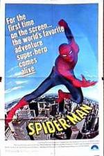 Watch "The Amazing Spider-Man" Pilot Niter