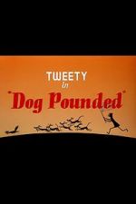 Watch Dog Pounded (Short 1954) Niter