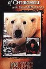 Watch The Polar Bears of Churchill with Ewan McGregor Niter