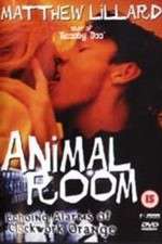 Watch Animal Room Niter